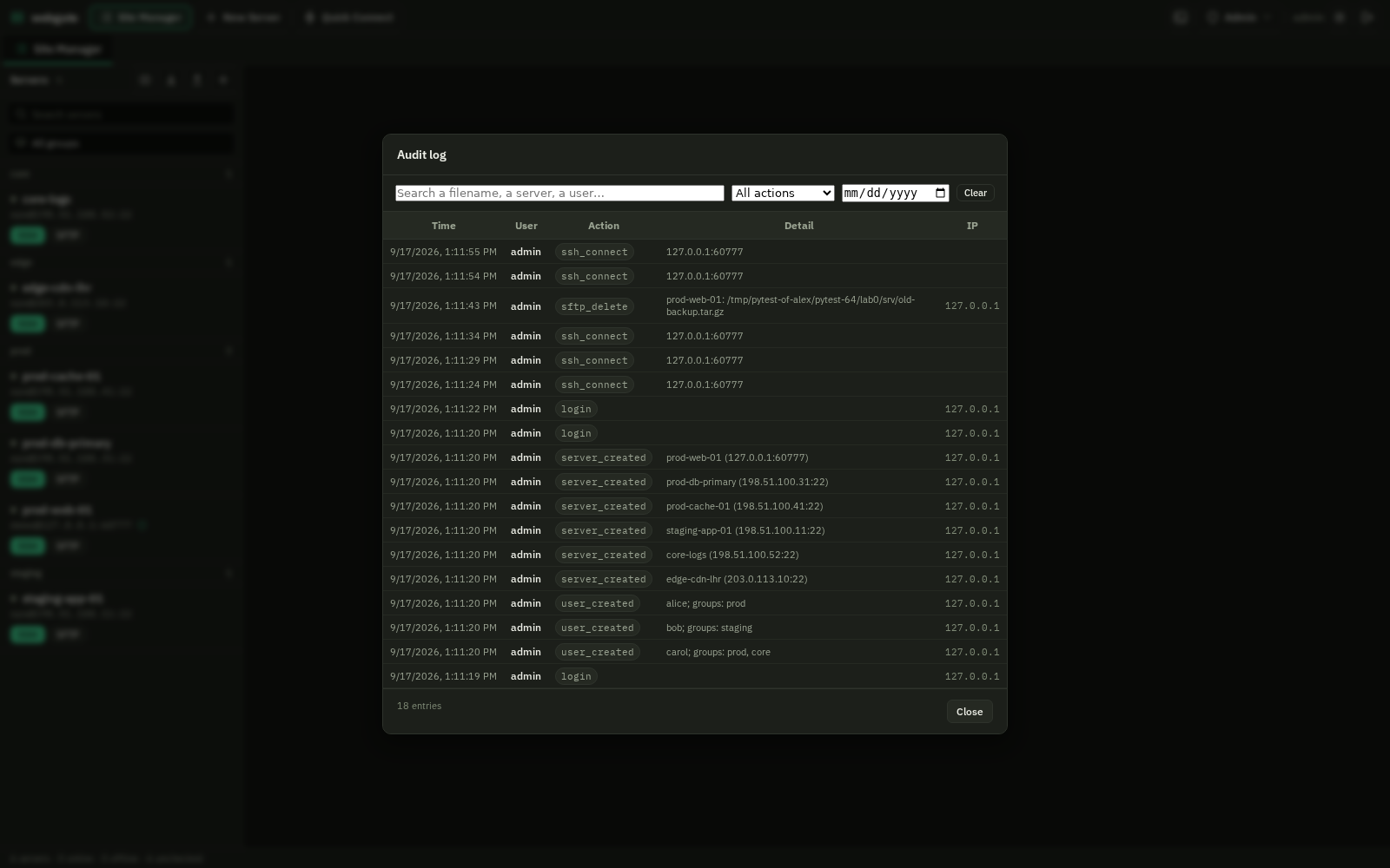 The audit log